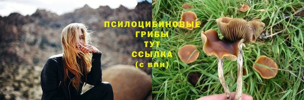 ПСИЛОЦИБИНОВЫЕ ГРИБЫ Саяногорск